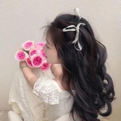 雌雄双谍